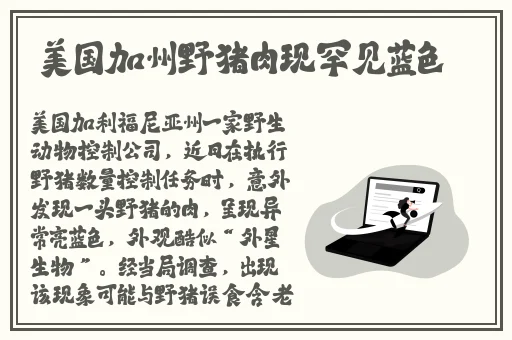 再把腿x开一点就可以吃到软件