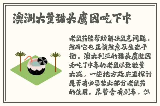 TOM永久转入接口